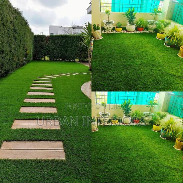 Grass Carpet Grass Carpet Grass Carpet Grass Carpet - main view