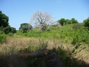 3 Acre Freehold Land for Sale on Mtwapa Creek