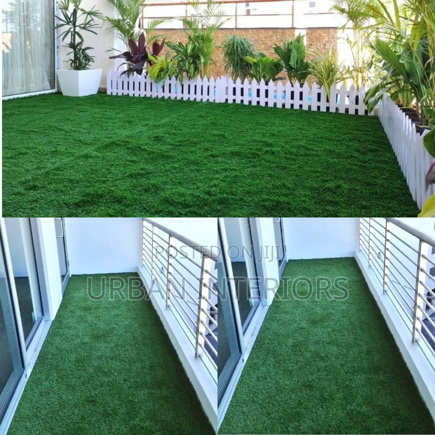 Turf Grass Turf Grass Turf Grass Turf Grass Turf Grass