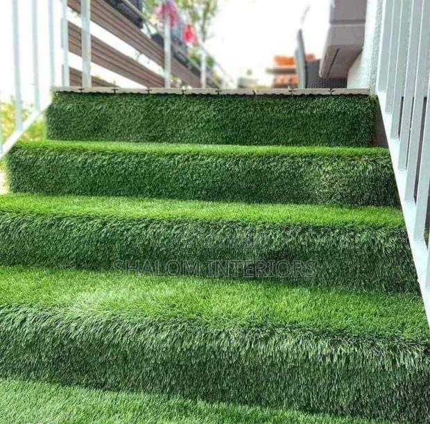 Turf Grass Turf Grass Turf Grass Turf Grass