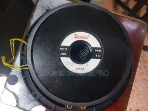 Derwel 10AH8 10 Inch Naked Speaker