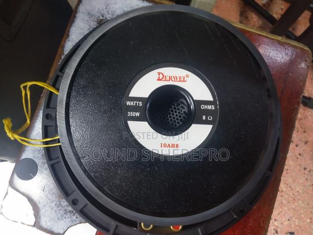 Derwel 10AH8 10 Inch Naked Speaker