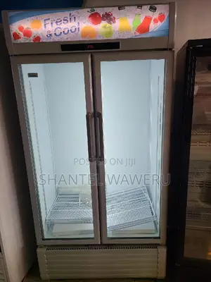 Display Fridge/Chiller Double Door