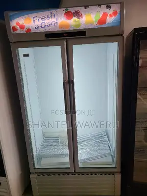 Display Fridge/Chiller Double Door