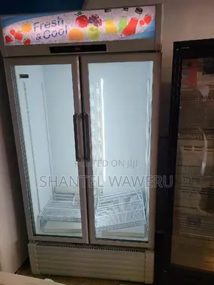 Display Fridge/Chiller Double Door