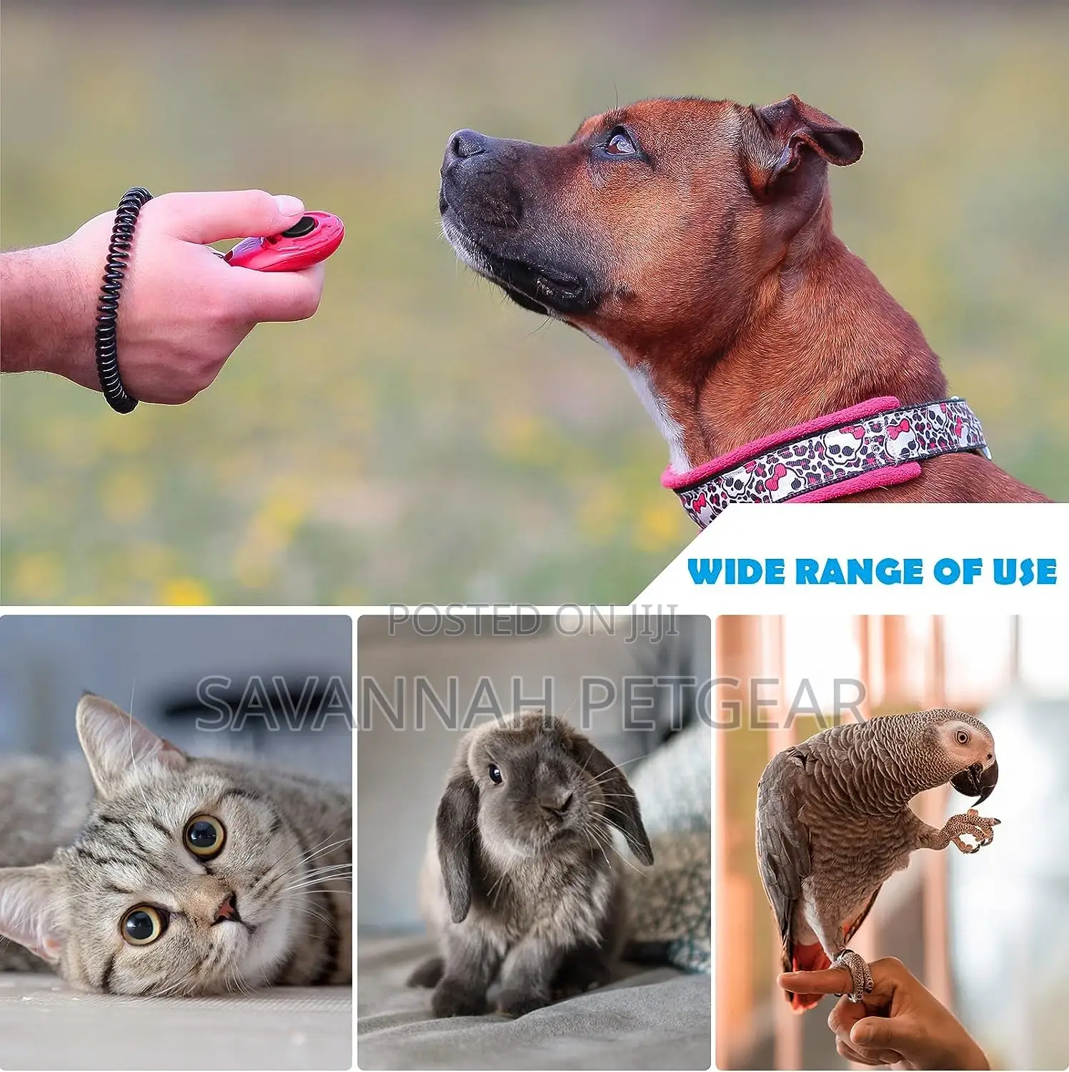 Pet Training Clicker for Cats Puppy Birds Horses