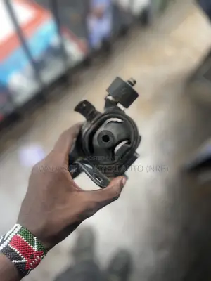 Gear Box Mounting for NZE