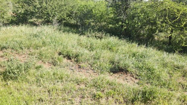 18 Acres Oloika at Per Acre - thumbnail 4