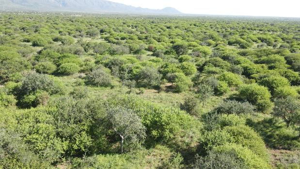 18 Acres Oloika at Per Acre - thumbnail 11