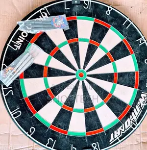 Professional Dart Board