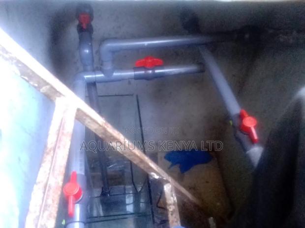 Garden Ponds Filtration System
