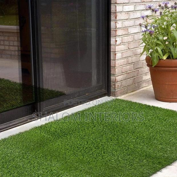 Turf Grass Turf Grass Turf Grass Turf Grass