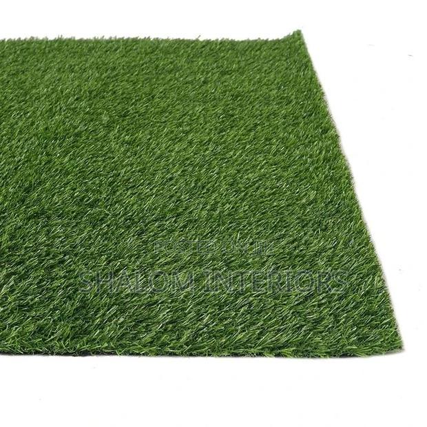 Turf Grass Turf Grass Turf Grass Turf Grass