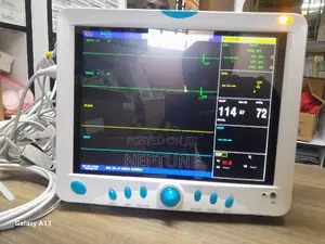 Portable Patient Monitor