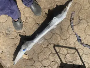 Steering Rack for Vanguard