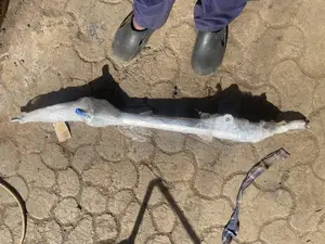 Steering Rack for Vanguard