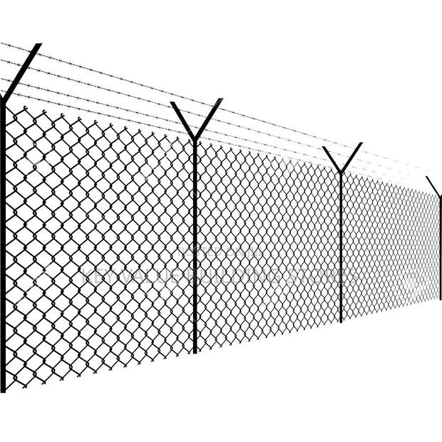 Medium Guage Chainlink Fencing - main view