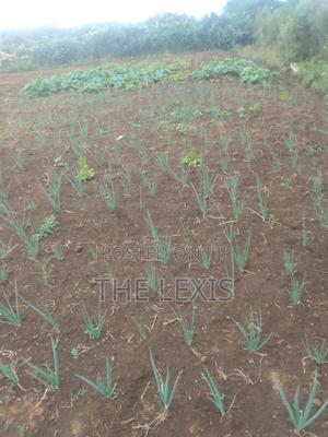 Plot for Sale Nyahururu - thumbnail 2
