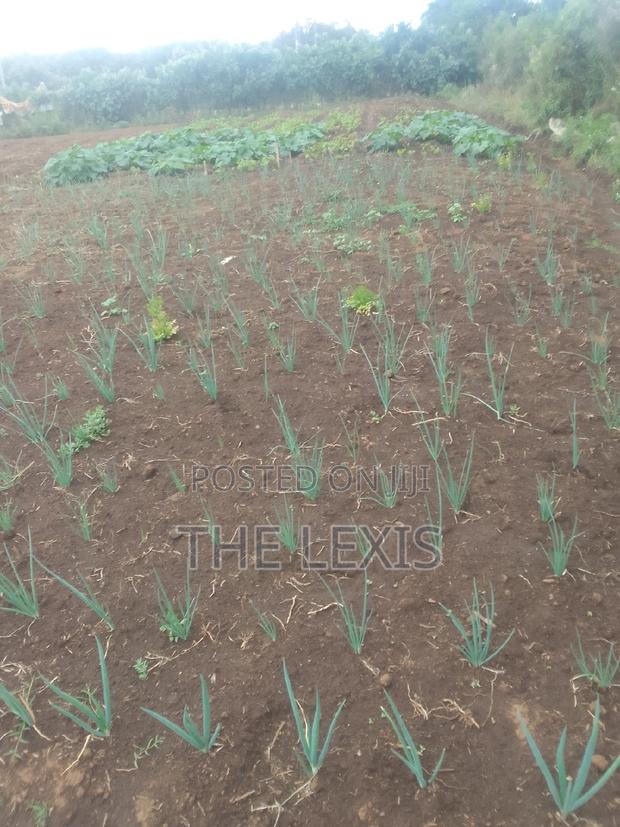 Plot for Sale Nyahururu - main view