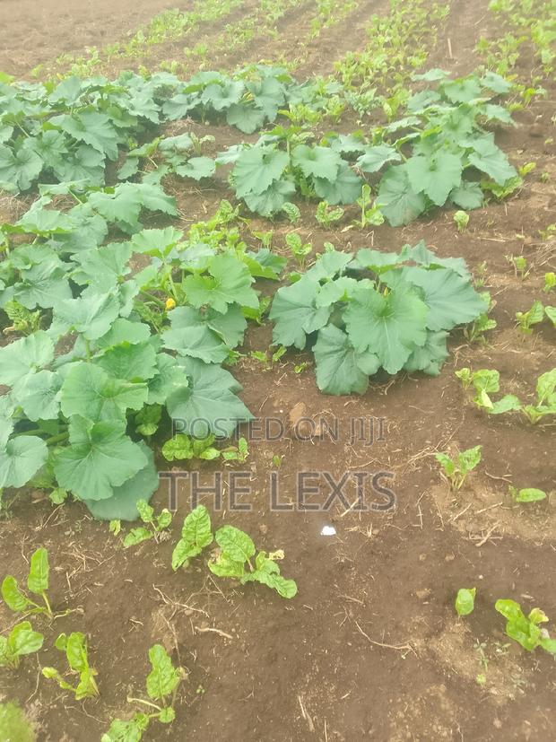 Plot for Sale Nyahururu - thumbnail 2