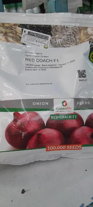Hybrid Onion Red Coach F1 400G