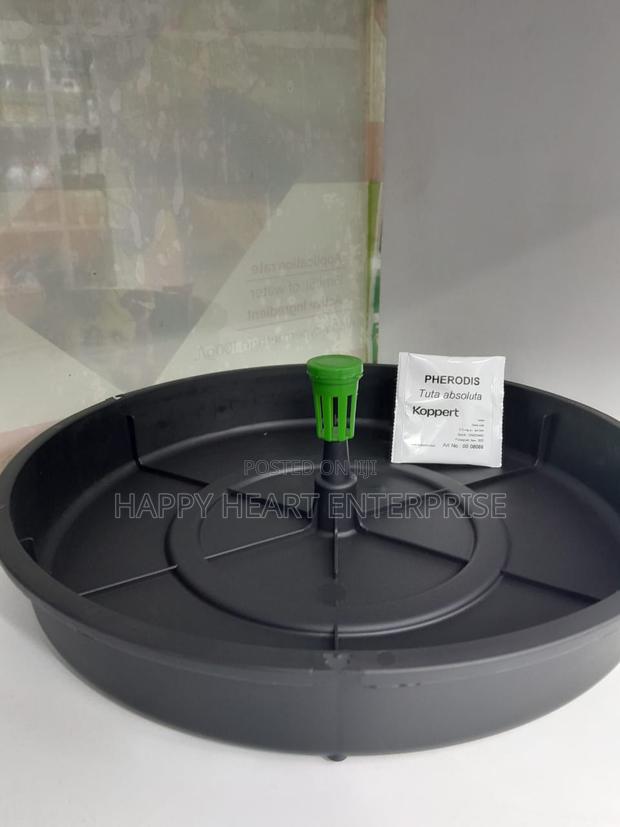 Tutasan And Pheromone Trap (Complete)