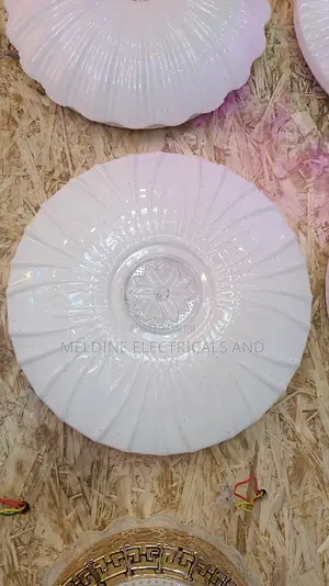 LED Full Moon/ Ceiling Light