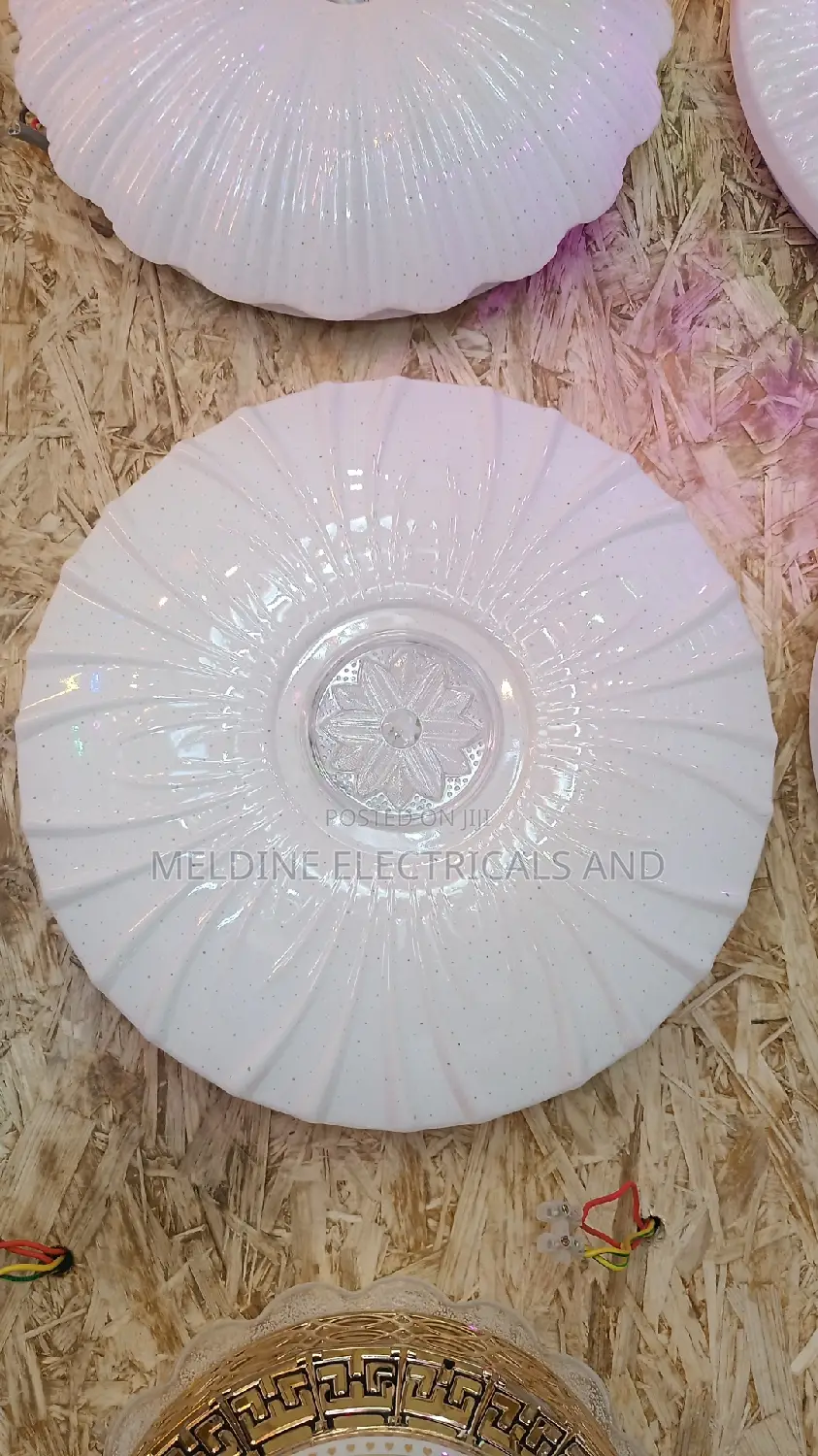 LED Full Moon/ Ceiling Light