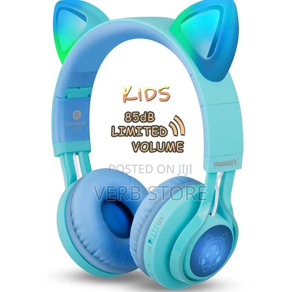 Cat Ear Headphones - thumbnail 2