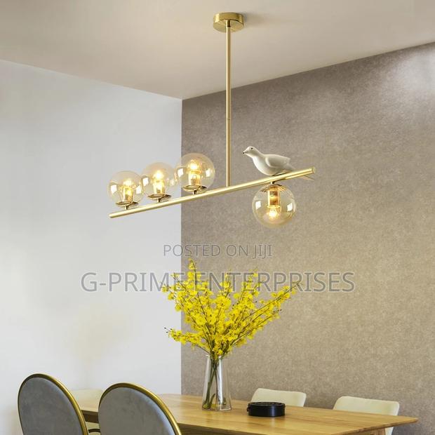 Ball Chandelier Light/Bird Ball Pendant Light