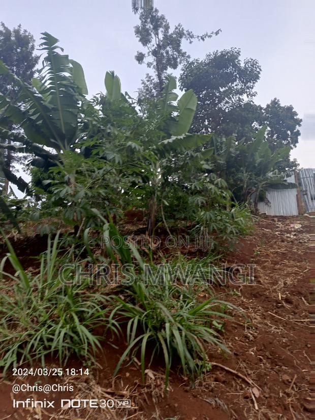 Clean Freehold Title Deed - thumbnail 2