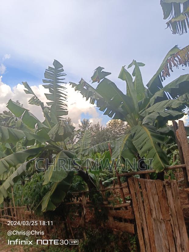 Clean Freehold Title Deed - thumbnail 6