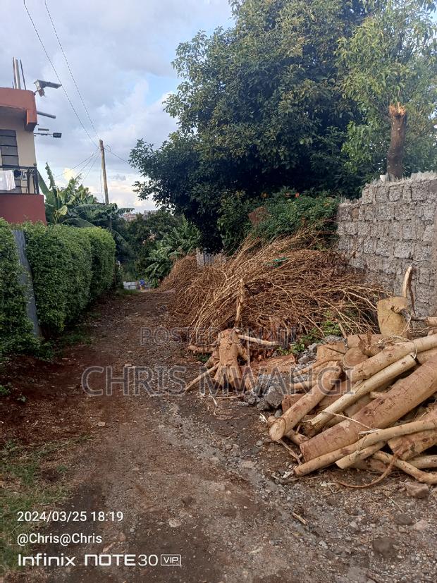 Clean Freehold Title Deed - thumbnail 7