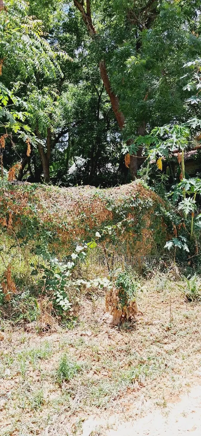 For Sale One Eighth Plot Mtwapa.