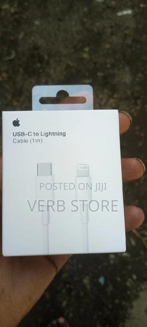 iPhone Cable - main view