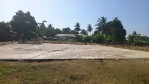 Netball Courts Construction/Rehabilitation/Surfacing