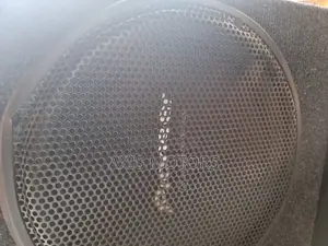 Pioneer Speaker