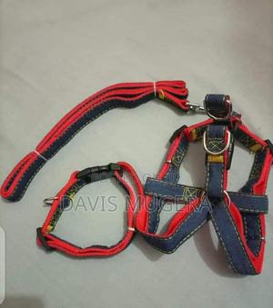 Denim Dog Leash, Collar and Harness Adjustable Set - - thumbnail 2