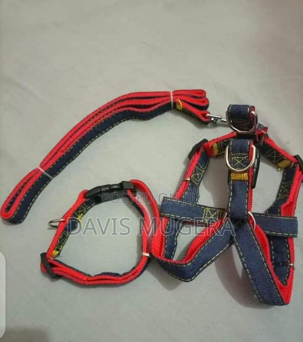 Denim Dog Leash, Collar and Harness Adjustable Set - - main view