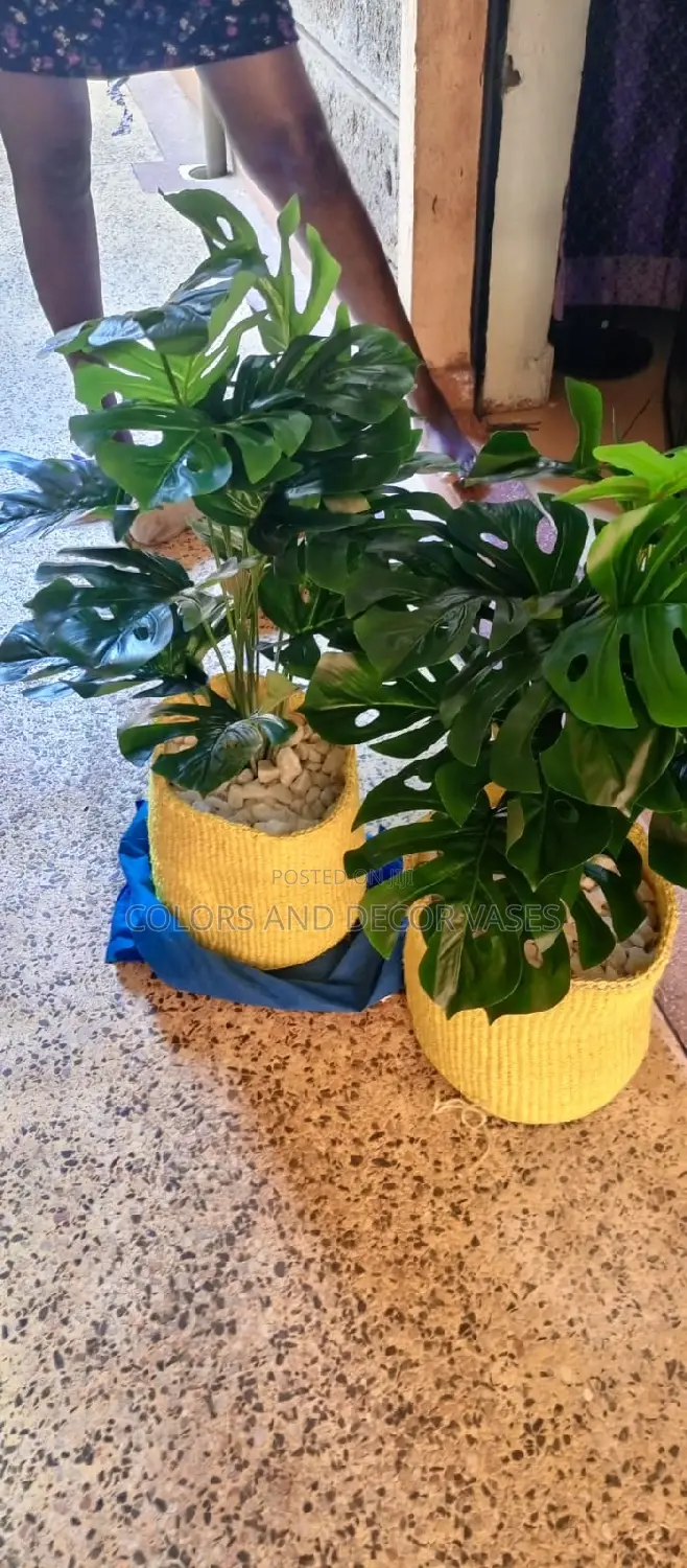 Plants And Baskets With Pebble Stones