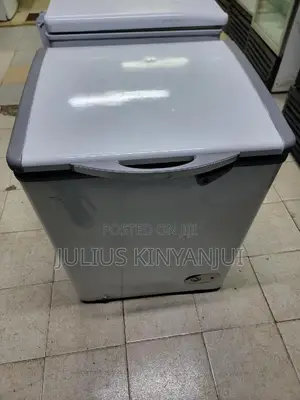 TC 130L Deep Freezer