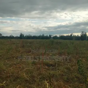 Exclusive 2 Acres for Sale in Chergei Kabarak