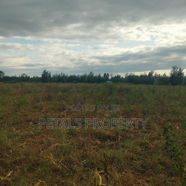 Exclusive 2 Acres for Sale in Chergei Kabarak
