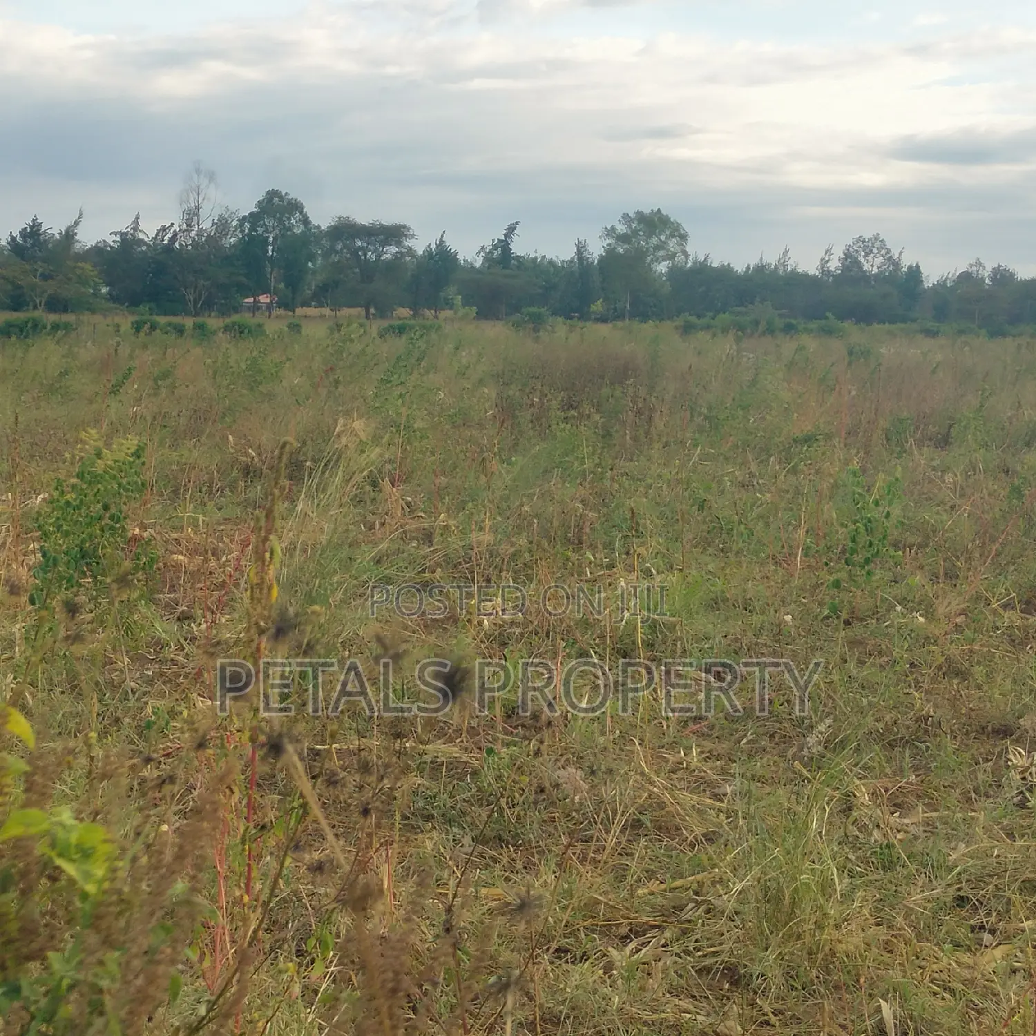 Exclusive 2 Acres for Sale in Chergei Kabarak