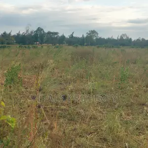 Exclusive 2 Acres for Sale in Chergei Kabarak