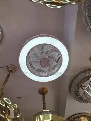 Ceiling Fan/Cooling Room Fan With LED Lights