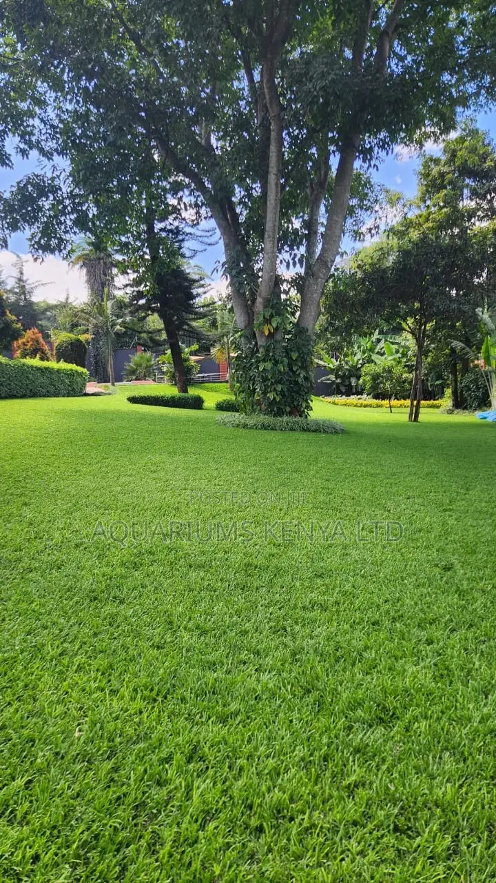 Landscaping Services and Carbo Installation