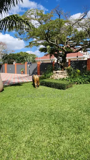 Landscaping Services and Water Feature Installation