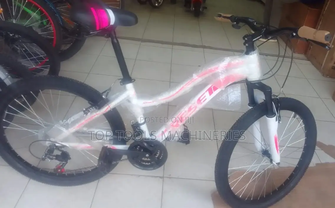 Reset Adult Mountain Bicycle Size 26