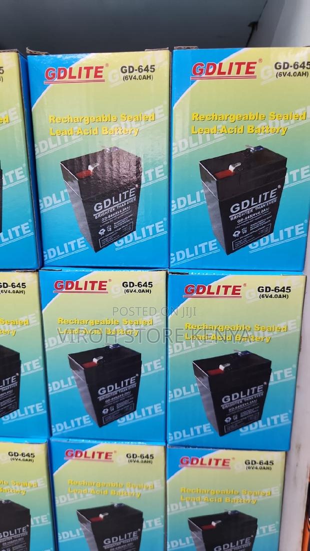 GDLITE 6v Battery - main view